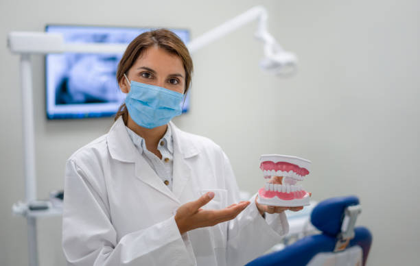 Best Broken or Chipped Tooth Repair in Safety Harbor, FL